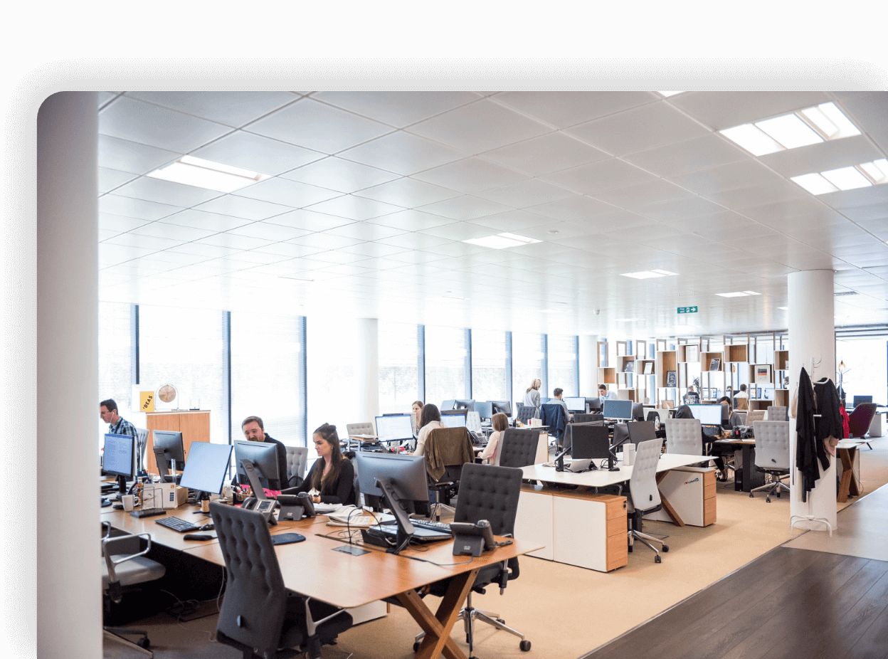 Imagen de un equipo de personas trabajando en una oficina.